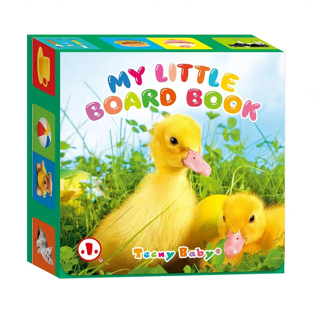 Colourful Early Learning Card Book