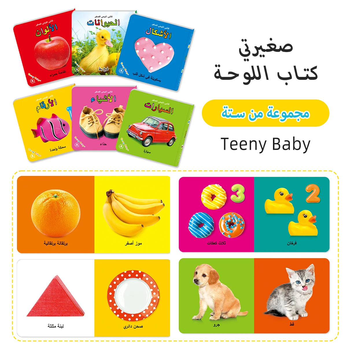 Colourful Early Learning Card Book