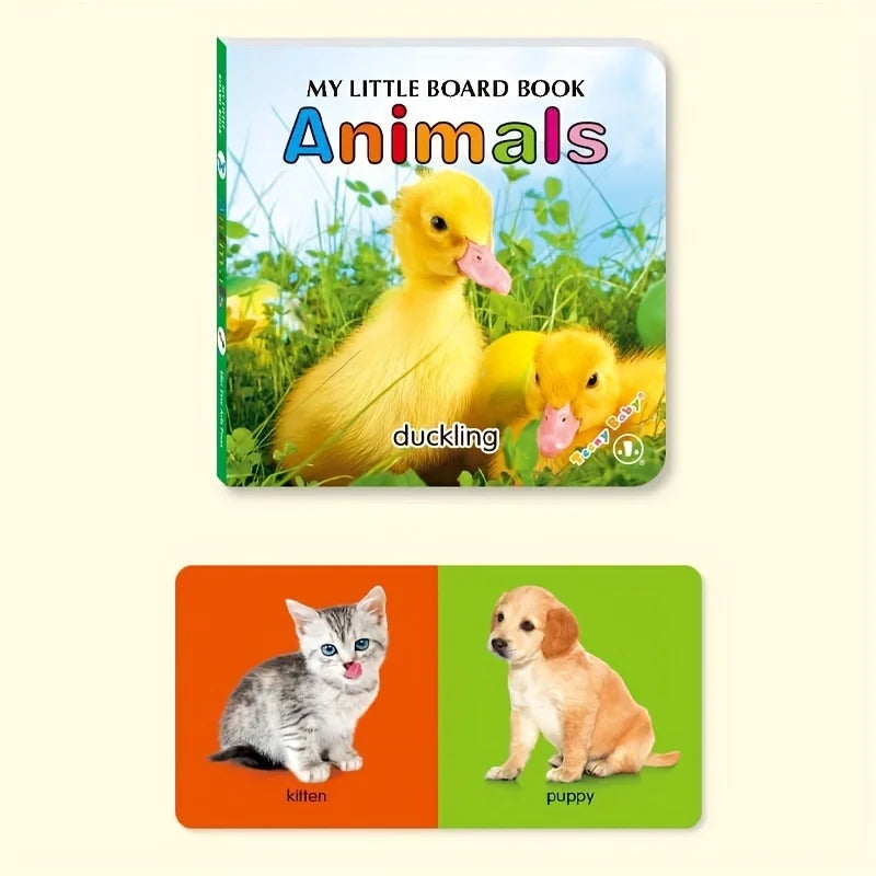 Colourful Early Learning Card Book