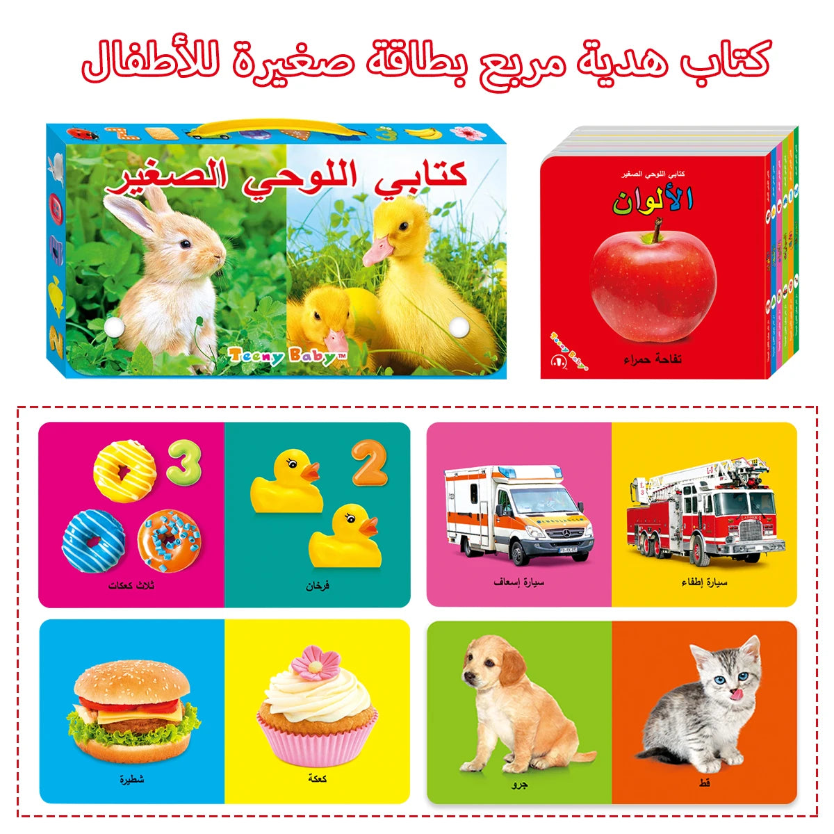 Colourful Early Learning Card Book